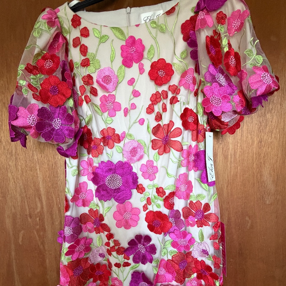 NWT Eliza J Size 6 Embroidered Floral Puff-Sleeve Shift Mini Dress